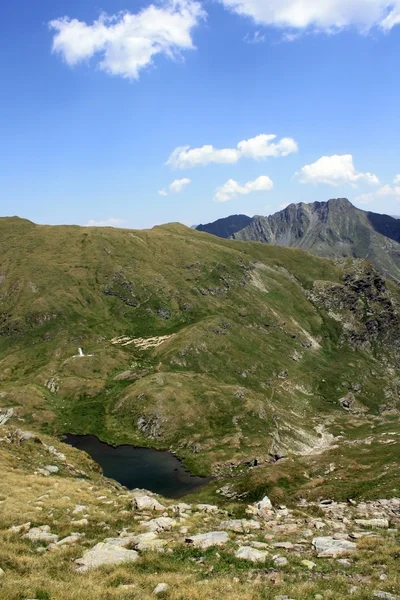 Lago di capra in estate, Romania — Foto Stock