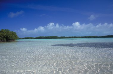 Venezuela Beach