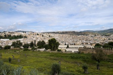 Fez Cityscape