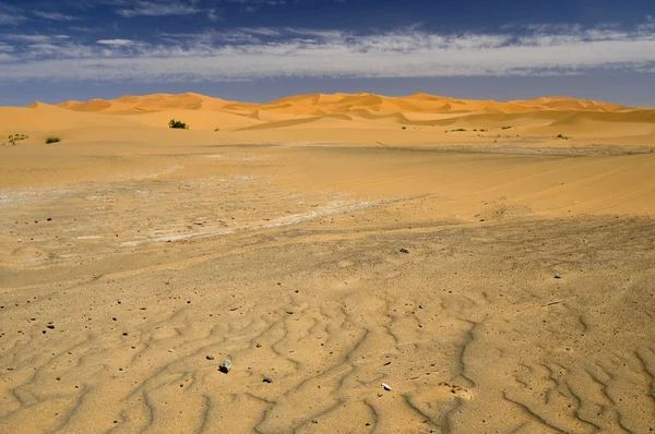 Пустыня . — стоковое фото