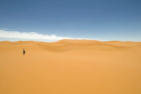 Pasos en el desierto — Foto de Stock