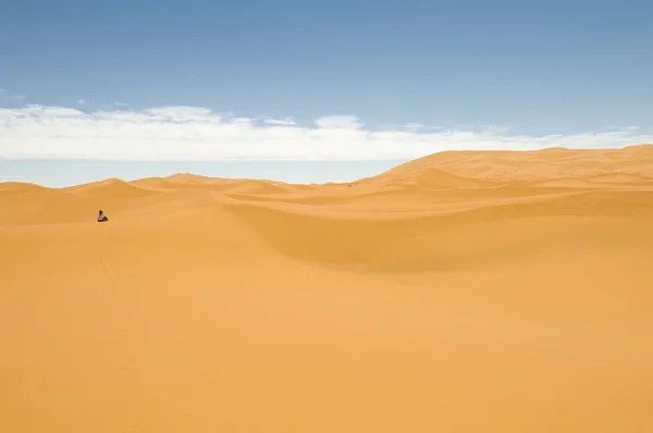 В пустыню — стоковое фото