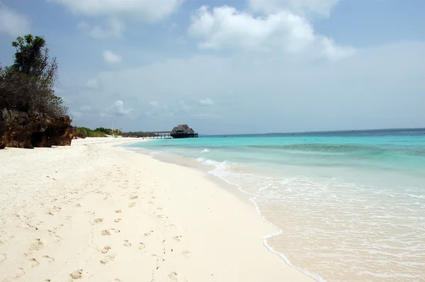 Beach paradise — Stock Photo, Image