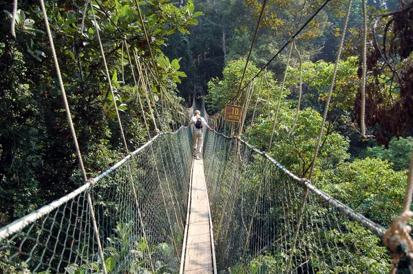 Taman negara - gölgelik geçit — Stok fotoğraf