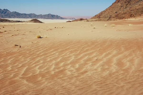Пейзажі пустелі — стокове фото