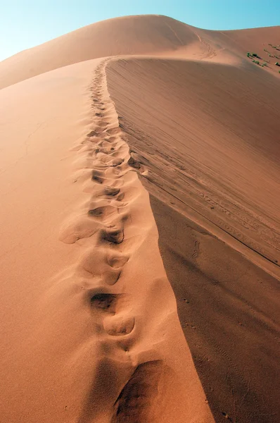 Кроки на дюні — стокове фото