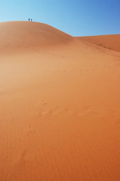 In cima alla duna — Foto Stock