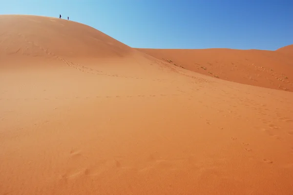 Зверху дюни — стокове фото