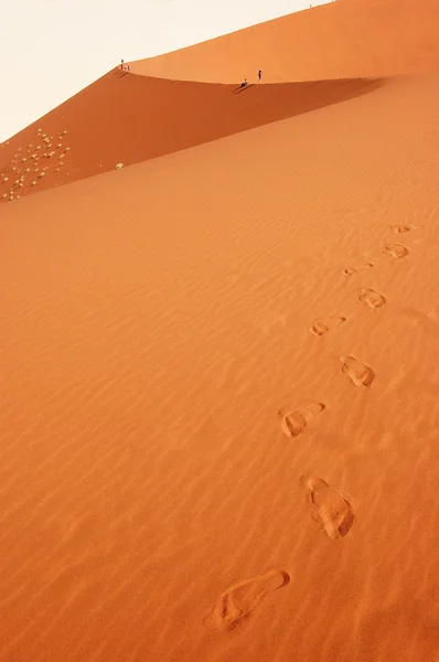 沙丘上的步骤 — 图库照片