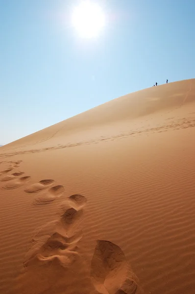 Βήματα στην άμμο在沙滩上的步骤 — 图库照片