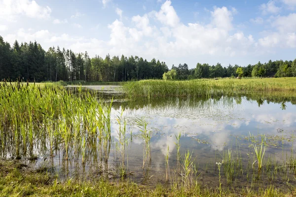 Summer Polish landscape — Stock Photo, Image