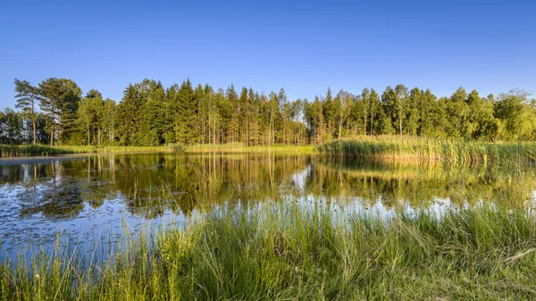 Malé jezero na golfovém hřišti — Stock fotografie