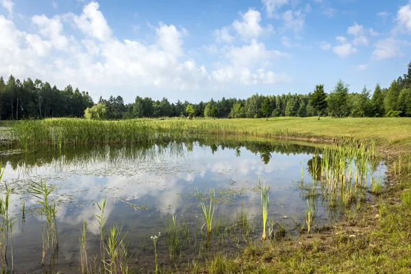 Summer Polish landscape with lake — Stock Photo, Image