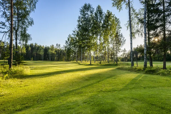 Západ slunce na golfovém hřišti v Polsku — Stock fotografie