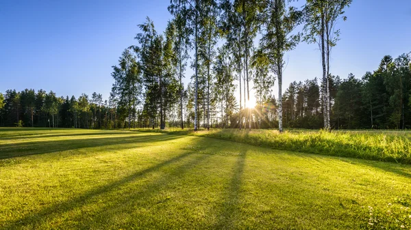Solnedgång på golfbanan i poalnd — Stockfoto