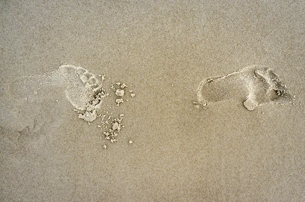 Empreintes de pas sur la plage — Photo