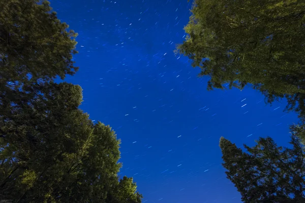 stock image Stars in the night sky