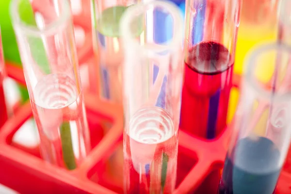 Group of laboratory test tubes in red rack — Stock Photo, Image