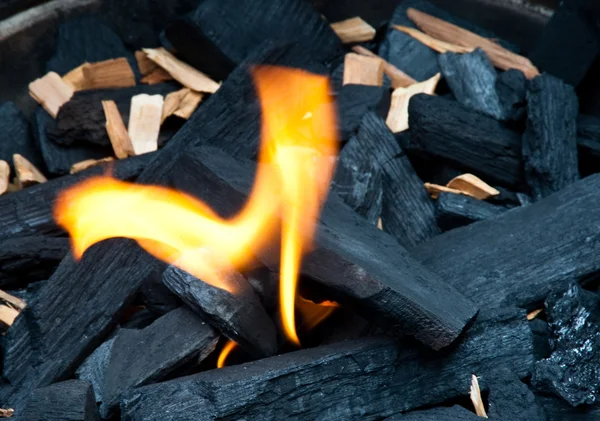 Vlam en houtskool — Stockfoto