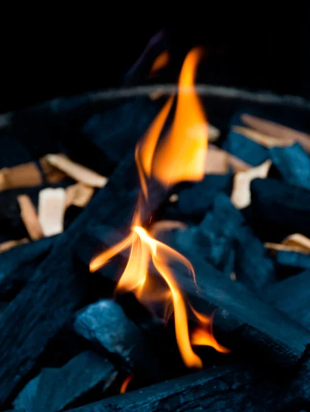 炎と炭 — ストック写真