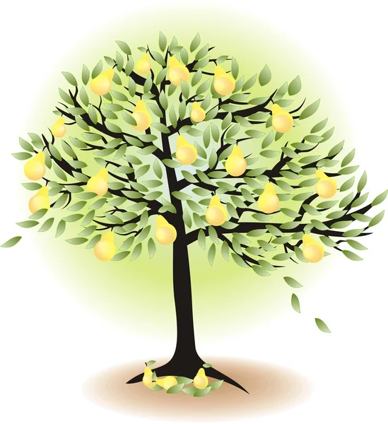 Drzewo owocowe z liśćmi i gruszkami wyizolowanymi na białym — Wektor stockowy