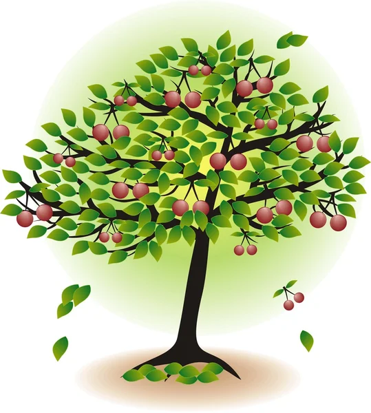 Drzewo owocowe z liści i wiśni na białym tle — Wektor stockowy