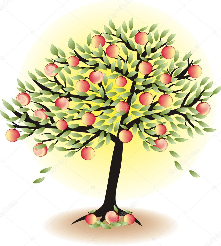 fruit tree with leafs and apples isolated on white