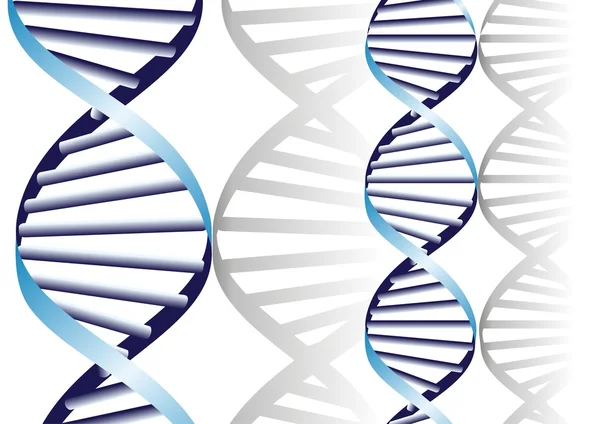 Dubbele DNA helix, biochemische abstracte achtergrond — Stockvector