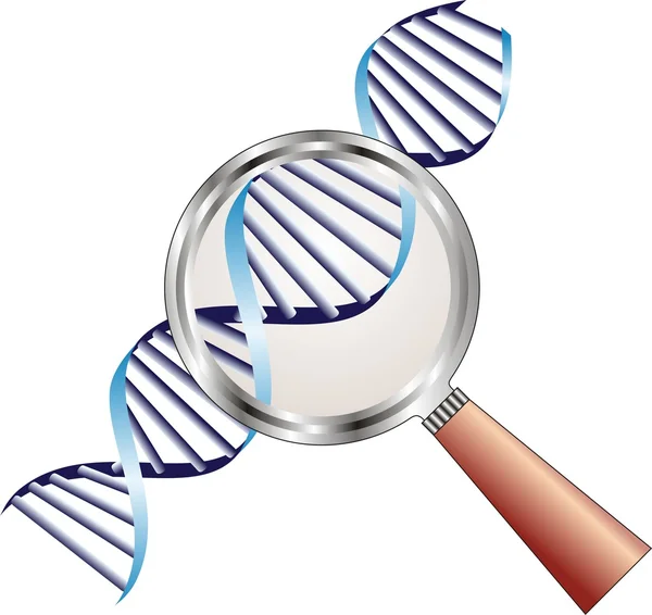 DNA-helix onder vergrootglas in focus van de aandacht, biochemie — Stockvector