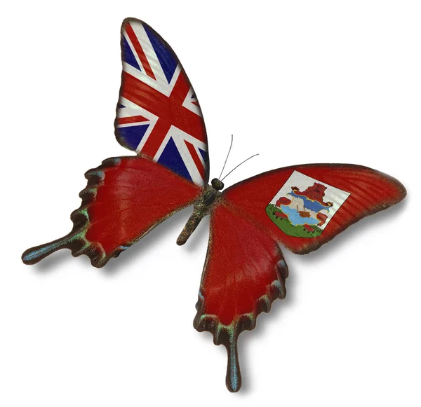 蝶にバミューダ島の旗 — ストック写真