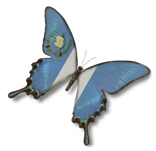 Guatemala flag on butterfly — Stock Photo, Image