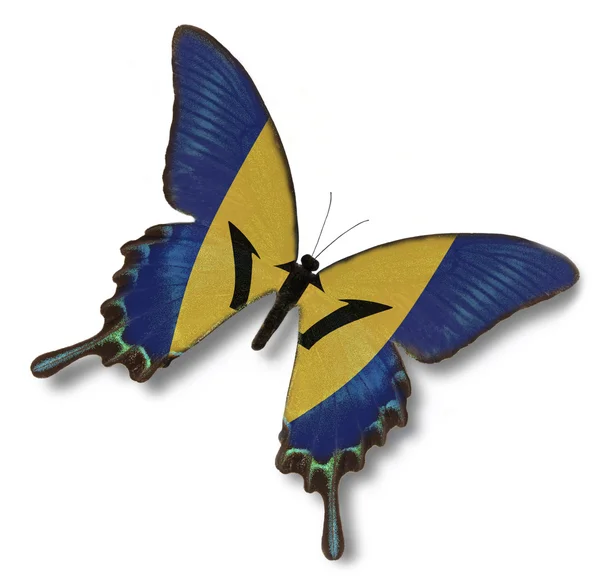 Barbados Flagge auf Schmetterling — Stockfoto