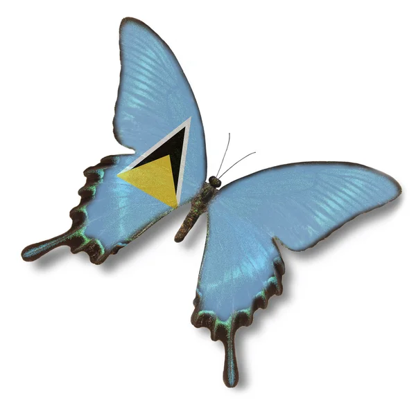 Saint Lucia flag on butterfly — Stock Photo, Image