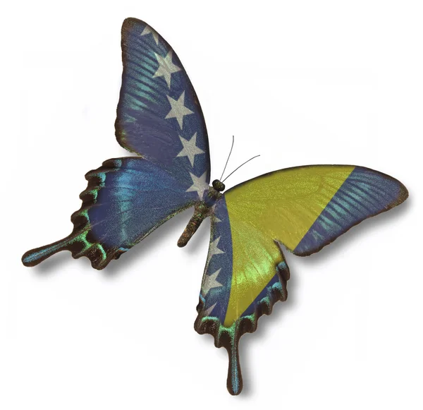 Vlag van Bosnië en herzegovina op vlinder — Stockfoto