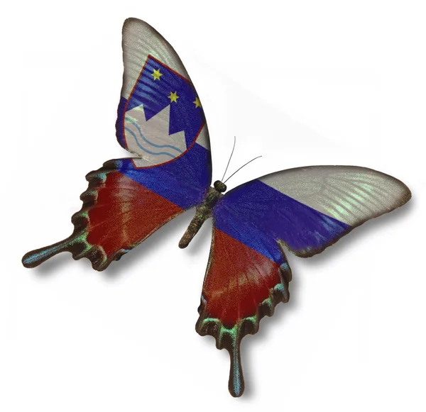 蝶のスロベニア フラグ — ストック写真