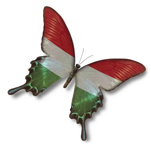 Hungary flag on butterfly — Stock Photo, Image