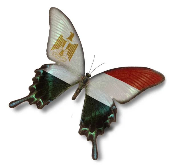 Egypt flag on butterfly — Stock Photo, Image