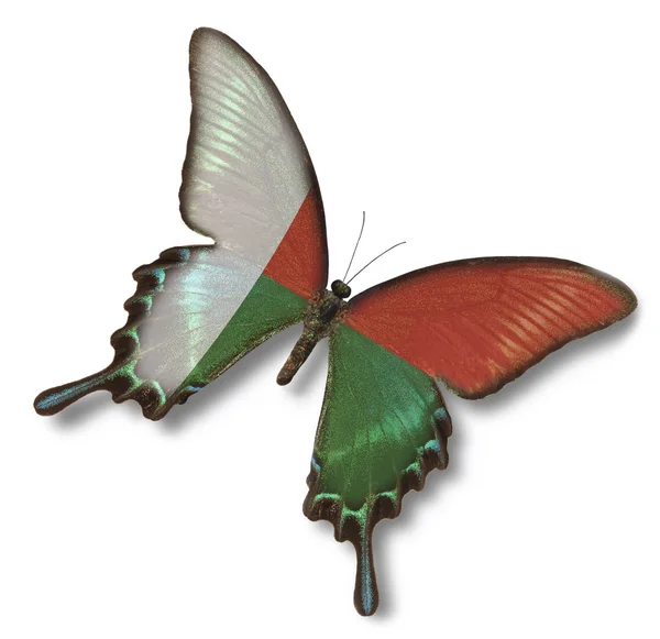Madagascar flag on butterfly — Stock Photo, Image