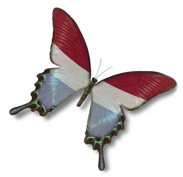 卢森堡国旗上蝴蝶 — 图库照片