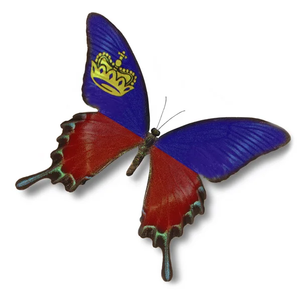 Флаг Лихтенштейна на бабочке — стоковое фото