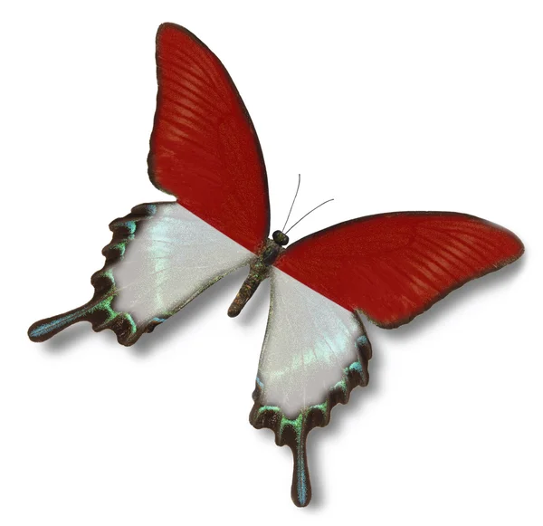 摩纳哥国旗上蝴蝶 — 图库照片