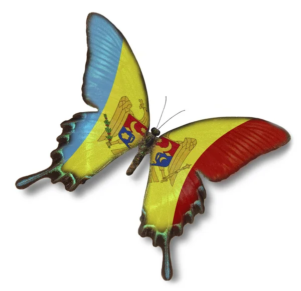 stock image Moldova flag on butterfly