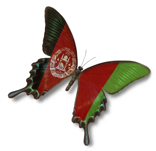 Drapeau de l'Afghanistan sur papillon — Photo
