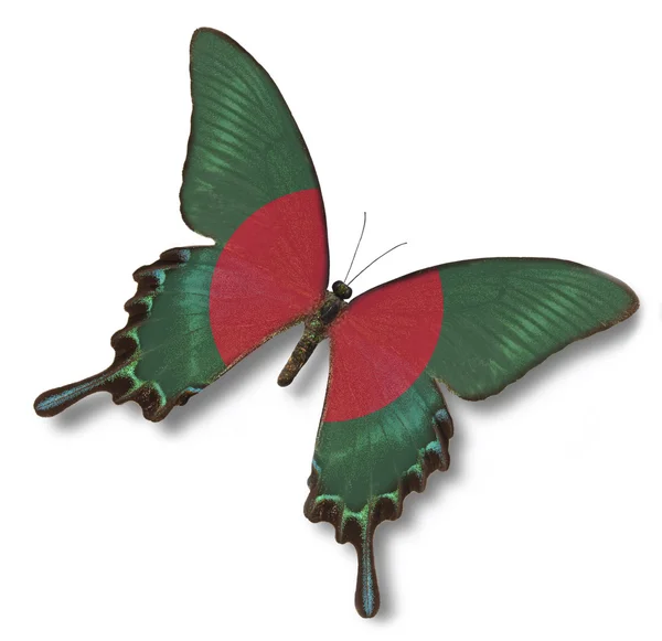 Прапор Бангладеш на метелика — стокове фото
