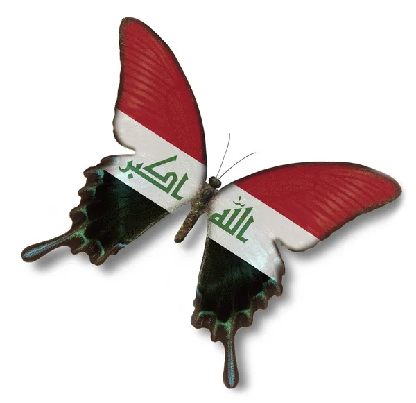 Флаг Ирака на бабочке — стоковое фото