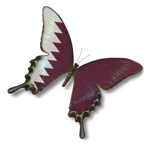 Qatar flag on butterfly — Stock Photo, Image