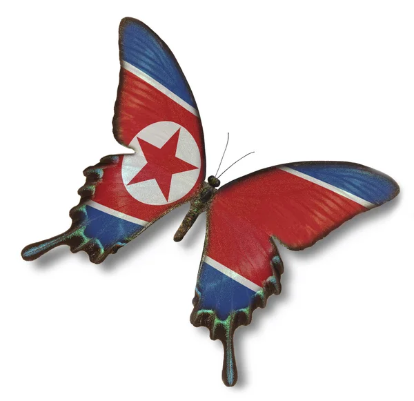 Прапор національної Демократичної Республіки на метелика — стокове фото