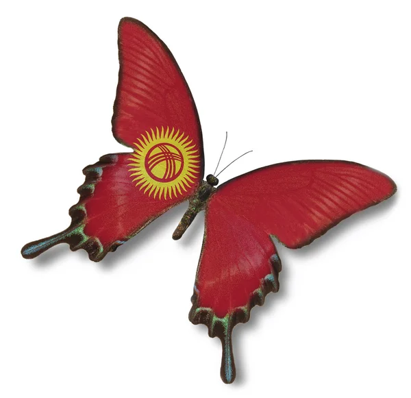 Drapeau Kirghizistan sur papillon — Photo