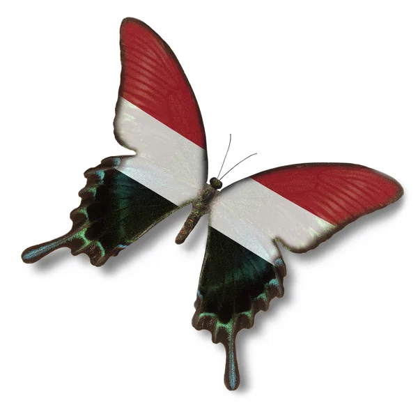 也门国旗上蝴蝶 — 图库照片