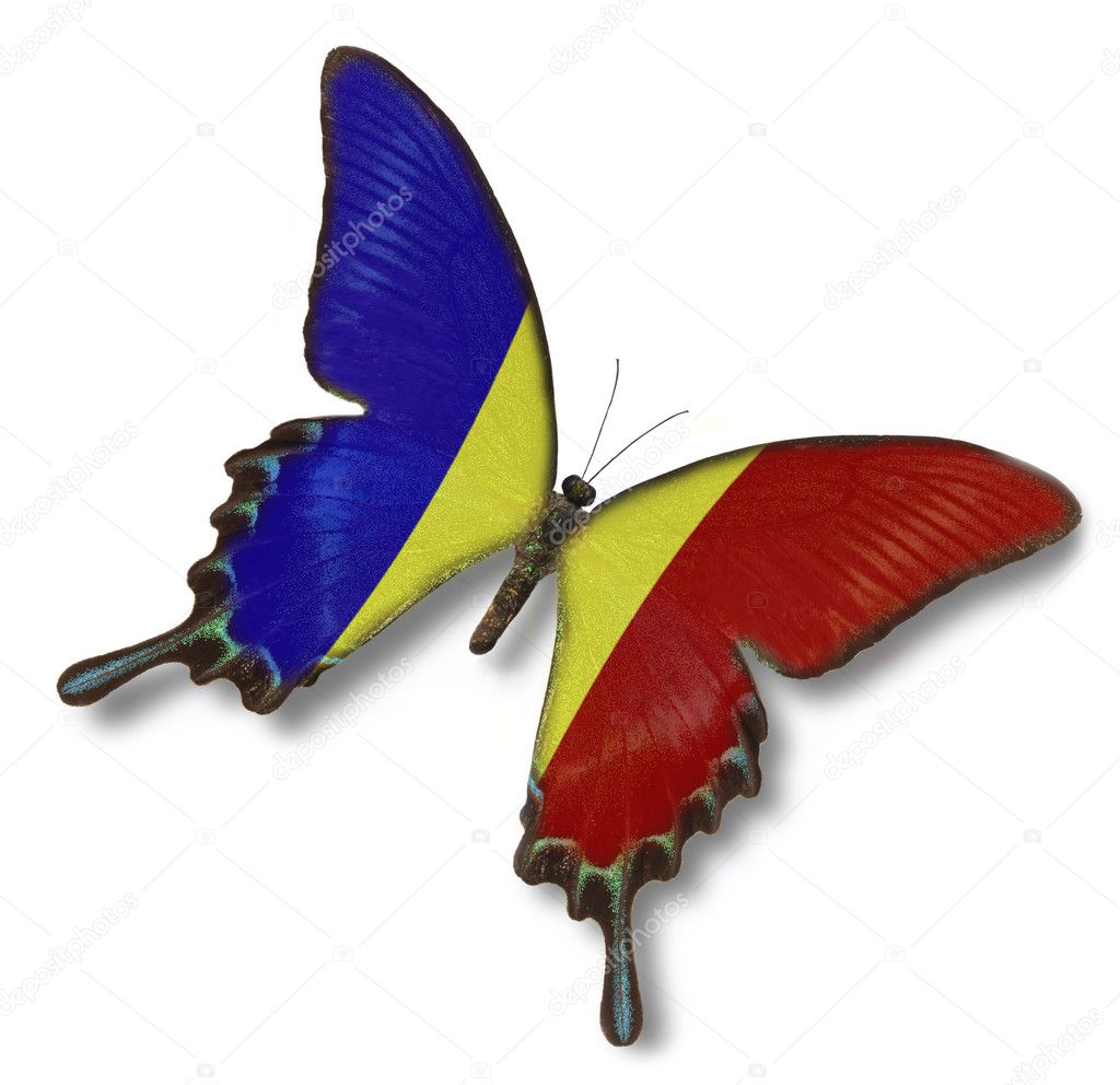 Romania flag on butterfly